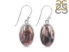 Russian Dendritic Agate Earring-E RDA-3-3