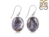 Russian Dendritic Agate Earring-E RDA-3-30