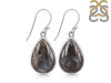 Russian Dendritic Agate Earring-E RDA-3-32