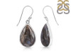 Russian Dendritic Agate Earring-E RDA-3-32
