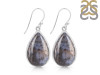 Russian Dendritic Agate Earring-E RDA-3-33