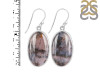 Russian Dendritic Agate Earring-E RDA-3-35