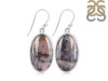 Russian Dendritic Agate Earring-E RDA-3-35