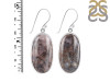 Russian Dendritic Agate Earring-E RDA-3-37