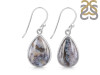 Russian Dendritic Agate Earring-E RDA-3-4