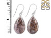 Russian Dendritic Agate Earring-E RDA-3-41