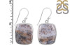 Russian Dendritic Agate Earring-E RDA-3-42