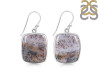 Russian Dendritic Agate Earring-E RDA-3-42