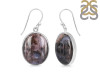 Russian Dendritic Agate Earring-E RDA-3-45