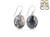 Russian Dendritic Agate Earring-E RDA-3-49