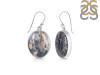 Russian Dendritic Agate Earring-E RDA-3-49