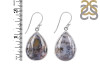 Russian Dendritic Agate Earring-E RDA-3-50