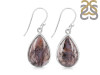 Russian Dendritic Agate Earring-E RDA-3-7