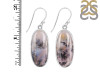 Russian Dendritic Agate Earring-E RDA-3-9