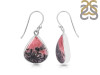 Rhodonite Earring-E RDN-3-57