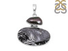 Silicon Pendant-2SP SLC-1-35