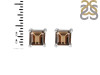 Smoky Stud Earring SMY-RDE-1373.