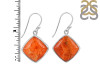 Sponge Coral Earring-E SPC-3-34
