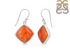 Sponge Coral Earring-E SPC-3-34