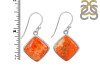 Sponge Coral Earring-E SPC-3-36