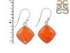 Sponge Coral Earring-E SPC-3-37