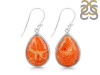 Sponge Coral Earring-E SPC-3-50