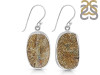 Spectropyrite Druzy Earring-E SPD-3-1