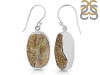 Spectropyrite Druzy Earring-E SPD-3-1