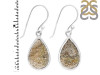 Spectropyrite Druzy Earring-E SPD-3-17