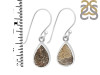 Spectropyrite Druzy Earring-E SPD-3-29