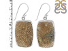 Spectropyrite Druzy Earring-E SPD-3-7