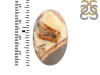 Septarian Rhyolite Adjustable Ring-ADJ-R SPR-2-37