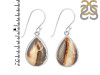 Septarian Rhyolite Earring-E SPR-3-1