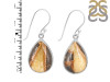Septarian Rhyolite Earring-E SPR-3-10