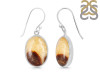 Septarian Rhyolite Earring-E SPR-3-16