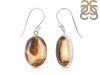 Septarian Rhyolite Earring-E SPR-3-17