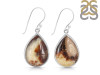 Septarian Rhyolite Earring-E SPR-3-19