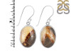 Septarian Rhyolite Earring-E SPR-3-20