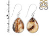 Septarian Rhyolite Earring-E SPR-3-21
