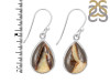 Septarian Rhyolite Earring-E SPR-3-24