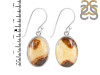 Septarian Rhyolite Earring-E SPR-3-8