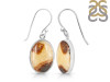 Septarian Rhyolite Earring-E SPR-3-8