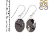 Shungite Earring-E SUG-3-1