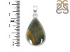 Tiger Eye Pendant-SP TGE-1-54