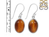 Tiger Eye Earring-E TGE-3-18