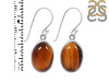 Tiger Eye Earring-E TGE-3-21