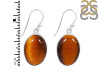 Tiger Eye Earring-E TGE-3-29