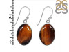 Tiger Eye Earring-E TGE-3-40
