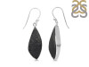 Tektite Earring-E TKT-3-29