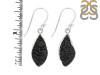 Tektite Earring-E TKT-3-34